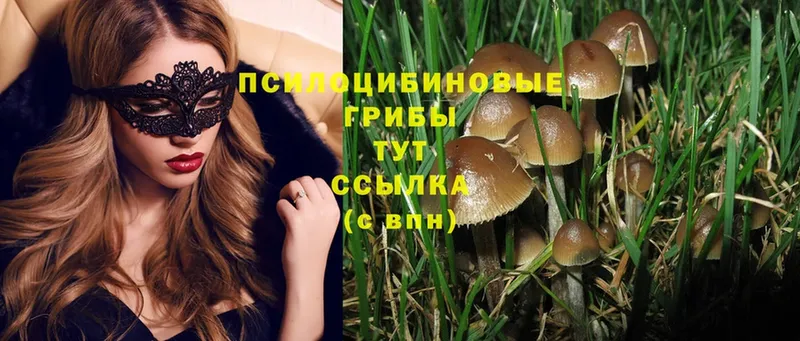 сайты даркнета официальный сайт  Салават  Галлюциногенные грибы MAGIC MUSHROOMS 